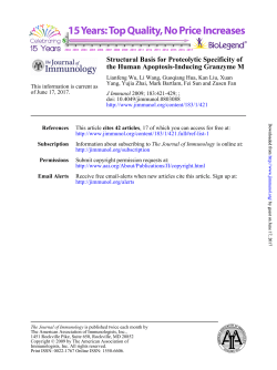 Structural Basis for Proteolytic Specificity of the Human Apoptosis