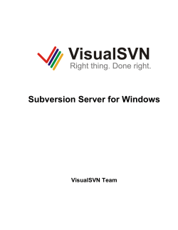 Subversion Server for Windows