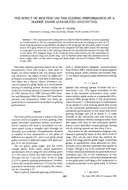 the effect of molting on the gliding performance of a harris` hawk