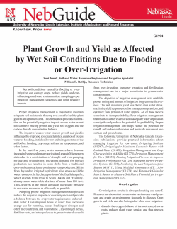 Plant Growth and Yield as Affected by Wet Soil