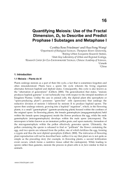 Quantifying Meiosis: Use of the Fractal Dimension, Df, to Describe