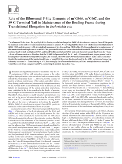 Role of the Ribosomal P-Site Elements of m2G966, m5C967