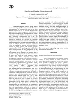 Germline modification of domestic animals