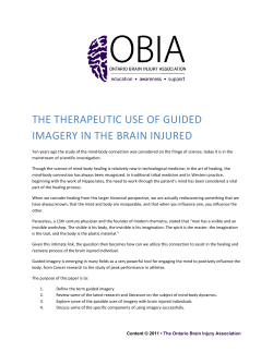 the therapeutic use of guided imagery in the brain injured