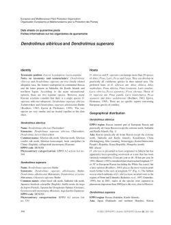 Dendrolimus sibiricus and Dendrolimus superans