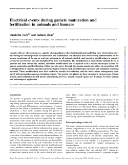 Electrical events during gamete maturation and fertilization in