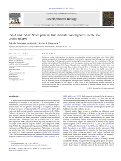 P58-A and P58-B - Department of Biological Sciences