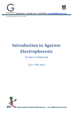 Introduction to Agarose Electrophoresis - G