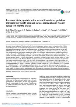 Increased dietary protein in the second trimester of gestation