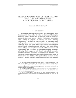 15. Role of Mitigation Specialist from a Federal Judge perspective