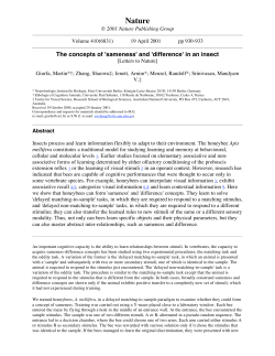 The concepts of `sameness` and `difference` in an