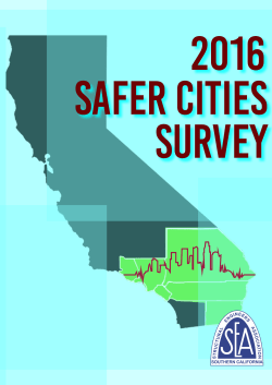 2016 Safer Cities Survey