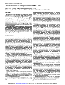 Thermal Response of Oncogene-transfected Rat