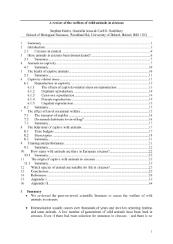 A review of the welfare of wild animals in circuses