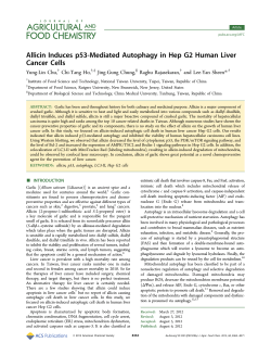 Allicin Induces p53-Mediated Autophagy in Hep G2 Human Liver
