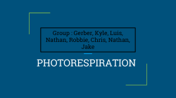 PHOTORESPIRATION