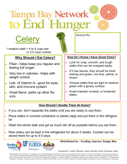 Celery - Hillsborough County Extension Office