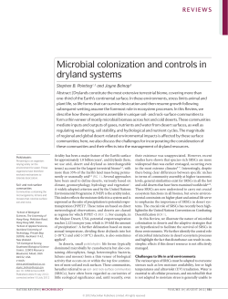 Microbial colonization and controls in dryland systems