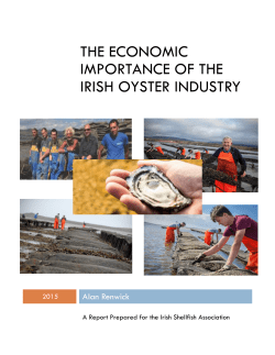 The economic importance of the Irish oyster industry