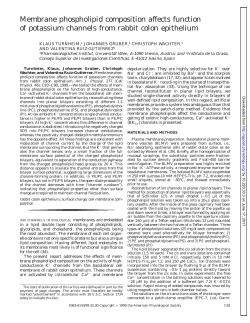ACELL July 46/1 - AJP-Cell