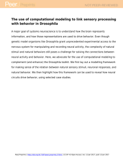 The use of computational modeling to link sensory