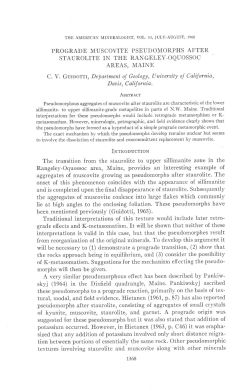 PROGRADE MUSCOVITE PSEUDOMORPHS AFTER