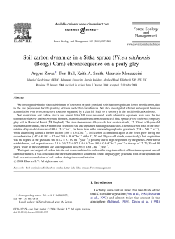 as a PDF