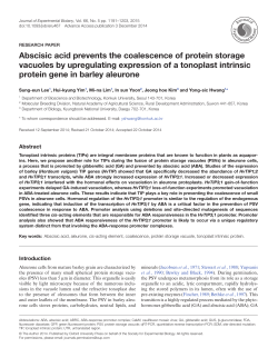 Abscisic acid prevents the coalescence of protein storage vacuoles
