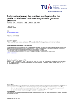 An investigation on the reaction mechanism for the partial oxidation