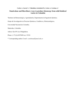 Stand-alone and Biorefinery ways to produce bioenergy from solid