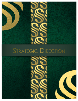 strategic direction
