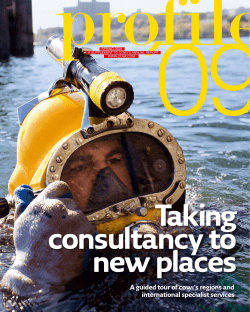 A guided tour of cowi`s regions and international specialist services
