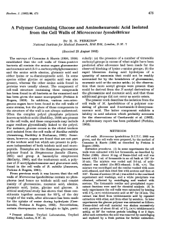 A Polymer Containing Glucose and Aminohexuronic Acid Isolated