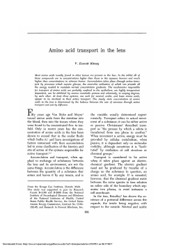 Amino Acid Transport in the Lens