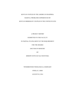 kenyan couples in the american diaspora: marital problems