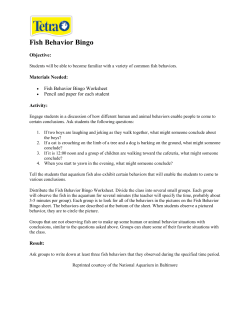 Fish Behavior Bingo