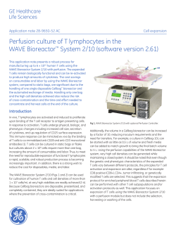 Perfusion culture of T lymphocytes in the WAVE