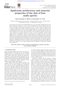 Epidermis architecture and material properties of the skin of four