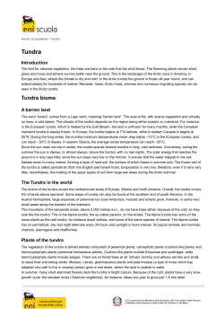 "Tundra" pdf file