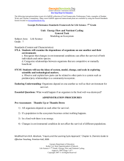 Modeling an Ecosystem