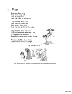 Dogs big, dogs small Dogs short, dogs tall Dogs fat, dogs thin Dogs