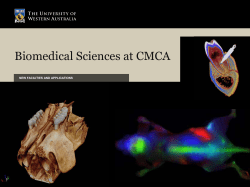 Linden_CMCA facilities and collaboration [PDF File, 1.1 MB]