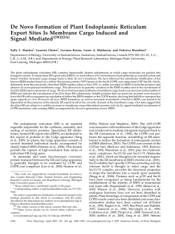 De Novo Formation of Plant Endoplasmic Reticulum Export Sites Is
