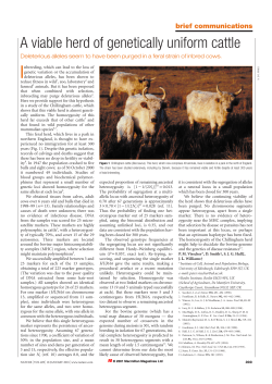 one - Montana State University