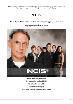 NCIS &ndash; An analysis of the macro- and microstrategies applied to