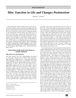 Proceeding Paper - American Meat Science Association
