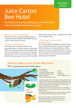 How to make a juice carton Bee Hotel