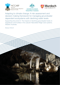 The impacts of declining water levels on stygofauna