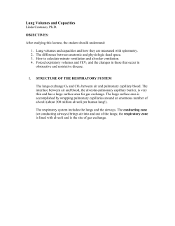 Lung Volumes and Capacities - Dr. Costanzo