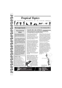 33 Lizards.p65 - Wet Tropics Management Authority